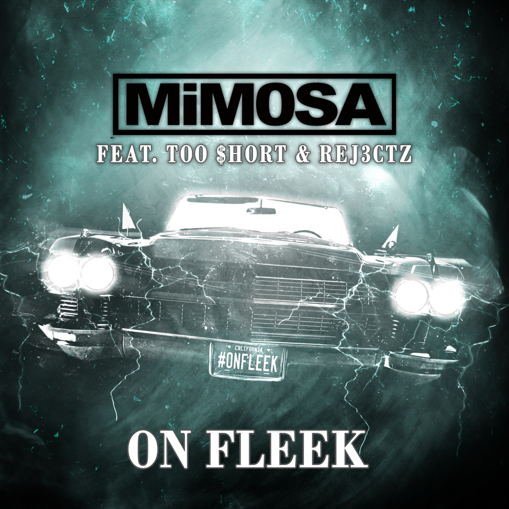 On Fleek (Remix) [feat. Too Short & Rej3ctz] (Explicit)