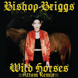 收聽Bishop Briggs的Wild Horses (Attom Remix)歌詞歌曲