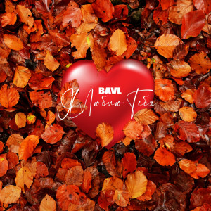 Album Я люблю тебя from BAVL