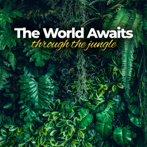 Listen to Through The Jungle song with lyrics from The World Awaits