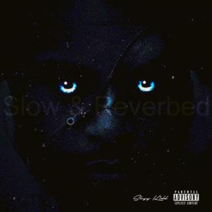 ดาวน์โหลดและฟังเพลง BOUJEE Bitch (Slowed & Reverb) (Explicit) พร้อมเนื้อเพลงจาก Shyy Kidd