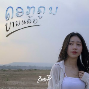 ดาวน์โหลดและฟังเพลง ດອກຄູນບານແລ້ວ พร้อมเนื้อเพลงจาก Zamio P