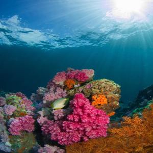 Listen to Volcano song with lyrics from Spa Music Relaxation