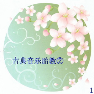 Album 古典音乐胎教②-1 from 新时代轻音乐团