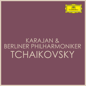 ดาวน์โหลดและฟังเพลง Tchaikovsky: Swan Lake (Suite) , Op. 20a - IV. Scene พร้อมเนื้อเพลงจาก Michel Schwalbe