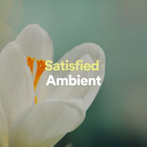 Album Satisfied Ambient from Healing Yoga Meditation Music Consort