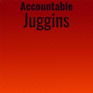 Various Artists的專輯Accountable Juggins