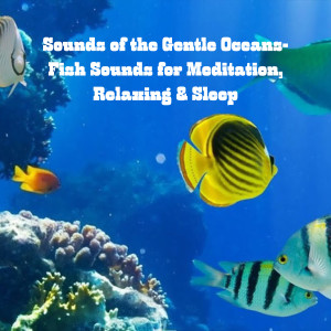 Album Sounds of the Gentle Oceans- Fish Sounds for Meditation, Relaxing & Sleep oleh Natural Sounds