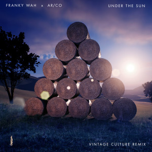 Franky Wah的專輯Under The Sun (Vintage Culture Remix)