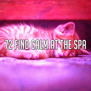 Dengarkan Plot To Sleep lagu dari Rest & Relax Nature Sounds Artists dengan lirik