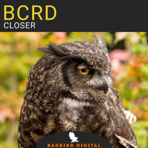 ดาวน์โหลดและฟังเพลง Closer พร้อมเนื้อเพลงจาก Bcrd
