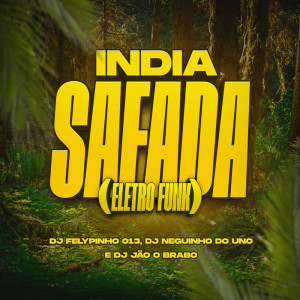 Listen to India Safada (Eletro Funk|Explicit) song with lyrics from Dj Neguinho Do Uno