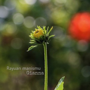 Album Rayuan manismu from Gianna