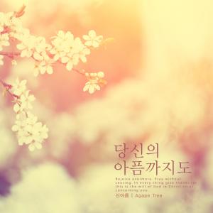 Listen to Warmth of the Lord song with lyrics from Shin Areum