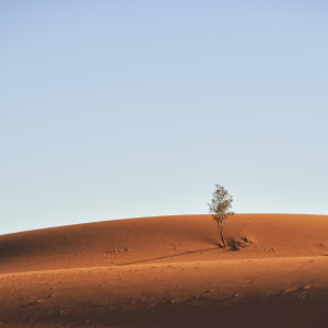 Listen to Take the Good song with lyrics from Pro Sounds of Nature