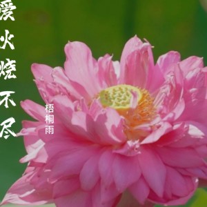 收聽梧桐雨的愛火燒不盡 (cover: 劉德華) (完整版)歌詞歌曲