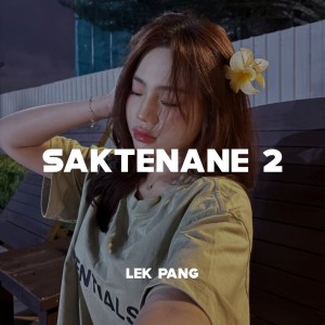 Album Saktenane 2 from LEK PANG
