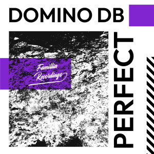 อัลบัม Perfect ศิลปิน Domino DB
