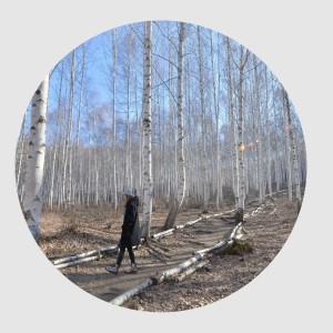 Listen to Winter Night song with lyrics from 일렉트릭 플래닛 파이브