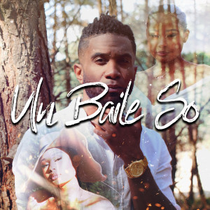 Album Un Baile So from Deev
