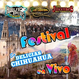 Los Jilgueros Del Arroyo的專輯Festival en Delicias Chihuahua (En Vivo)