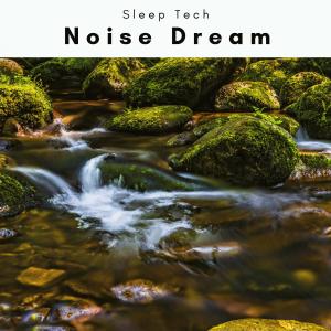 A Noise Dream