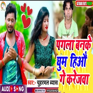 Listen to Pagal Banke Ghum Hiau Ge Karejva (Maghi) song with lyrics from Chuharmal Vyas