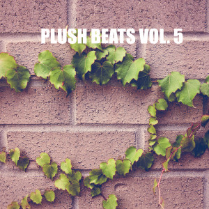 Frank Envoy的專輯Plush beats Vol. 5