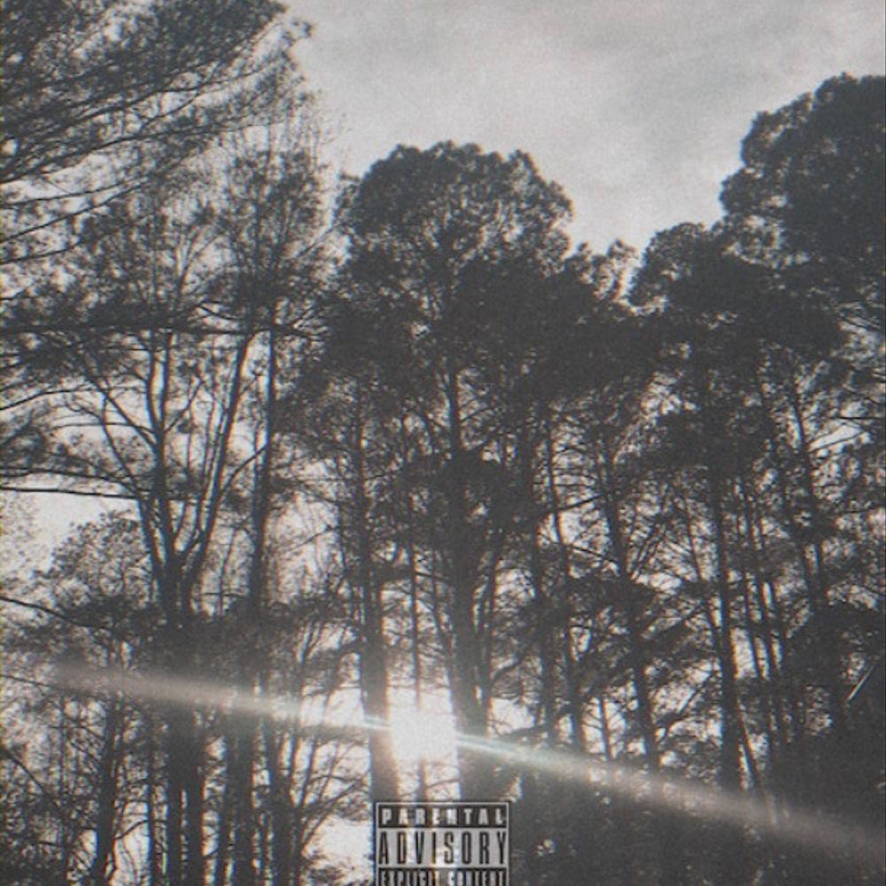 Heaven's Gates (Explicit)