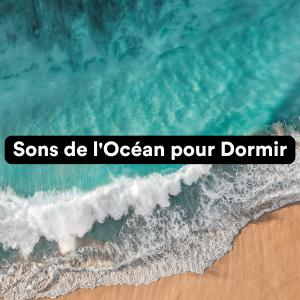 Vagues de l'océan的專輯Sons De L'océan Pour Dormir (Sons De L'océan Et De La Mer Pour Dormir)