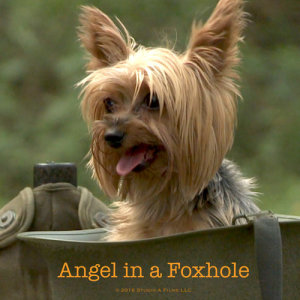 อัลบัม Angel in a Foxhole ศิลปิน The Color