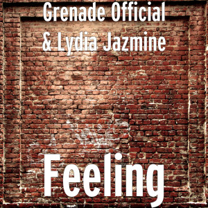 Listen to Feeling (Explicit) song with lyrics from Grenade Official