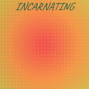 Various Artists的專輯Incarnating