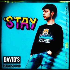 David's Pianosound的專輯STAY (feat. FERRAX)