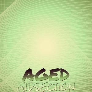 Album Aged Midsection from Various