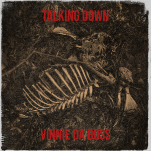 Album Talking Down (Explicit) from Vinnie da Boss