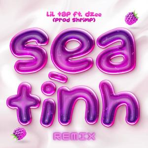 Sea Tình (Remix) dari Dzee