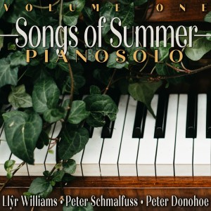Peter Schmalfuss的專輯Songs of Summer: Pianosolo, Vol. 1