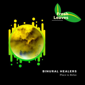 Listen to Serene Beauty (Original Mix) song with lyrics from Binural Healers