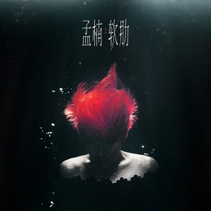 Album 软肋 from 孟楠