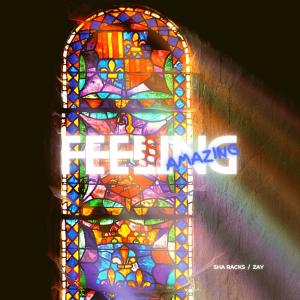 ดาวน์โหลดและฟังเพลง Feeling Amazing (feat. Zay Smalls) พร้อมเนื้อเพลงจาก Sha Racks