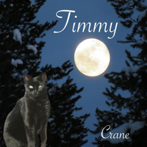 Listen to Timmy song with lyrics from Crane