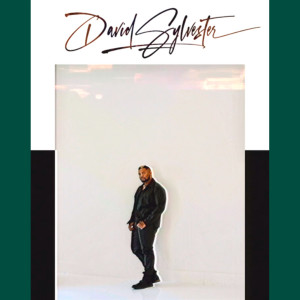 Listen to Let You Go song with lyrics from David Sylvester