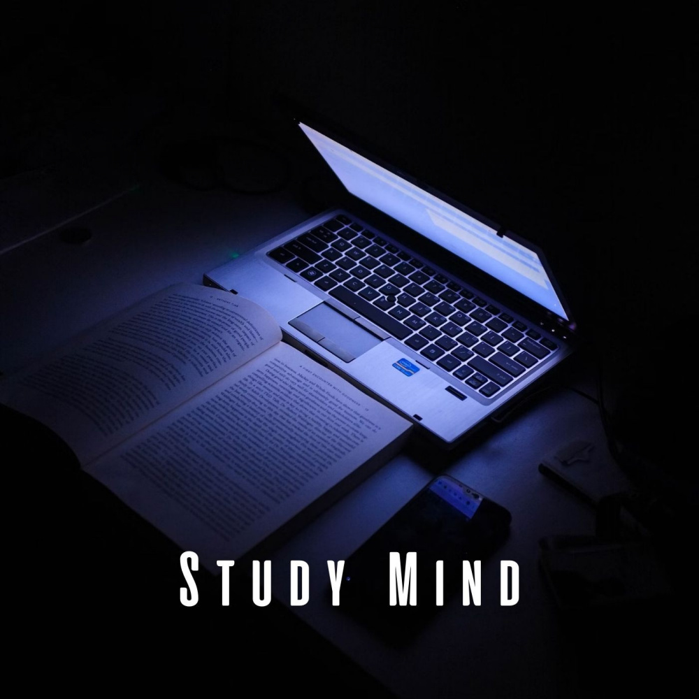 Productive Study Session with Binaural Tones