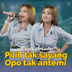 Dengarkan Pilih Tak Sayang Opo Tak Antemi lagu dari Shinta Arsinta dengan lirik
