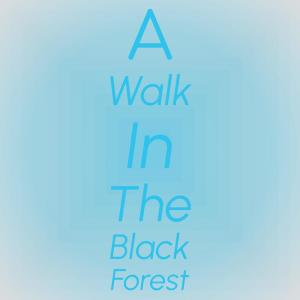 ดาวน์โหลดและฟังเพลง A Walk In The Black Forest พร้อมเนื้อเพลงจาก Horst Jankowski