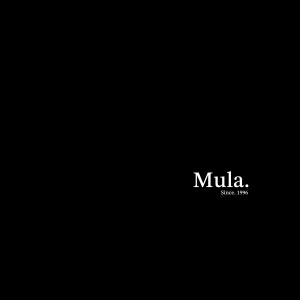 Album Mula (Explicit) from V8