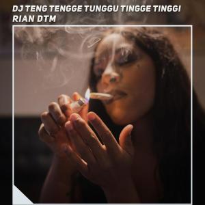Album Dj Teng Tengge Tunggu Tingge Tinggi from Rian DTM