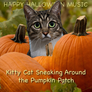 ดาวน์โหลดและฟังเพลง Kitty Cat Sneaking Around the Pumpkin Patch พร้อมเนื้อเพลงจาก Happy Halloween Music