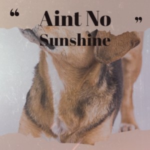 Listen to Aint No Sunshine song with lyrics from Freddie King